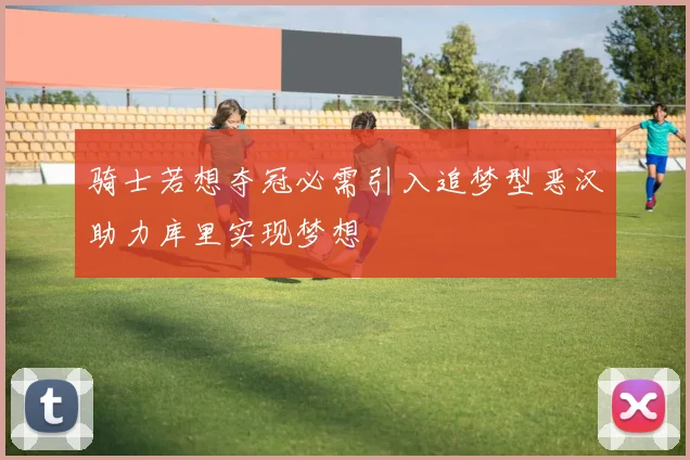 骑士若想夺冠必需引入追梦型恶汉助力库里实现梦想